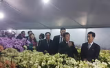 Đoàn đại biểu cấp cao Triều Tiên thăm mô hình trồng hoa lan tại Đan Phượng, Hà Nội